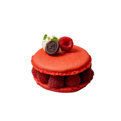 Reuze macaron - vanille - framboos (glutenvrij)